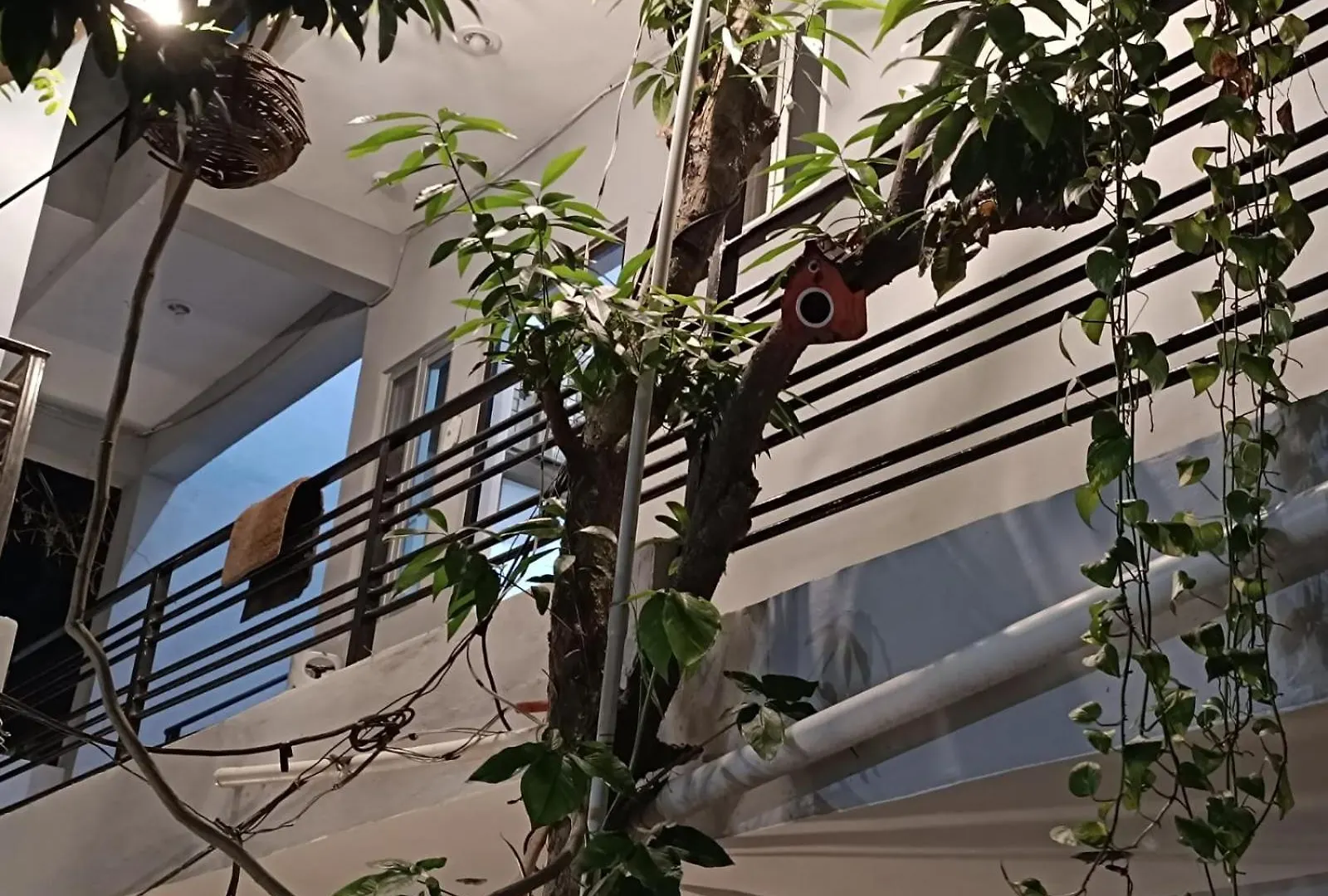 Apartamento Departamento # 2 MARACUYÁ, Cancún te espera México